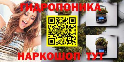 твердый Гусев